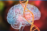 Genetica ed emozioni
