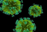 Risultati promettenti in fase II per bictegravir nel trattamento dell’infezione da HIV