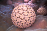 Papilloma Virus: identificato il DNA del virus anche nel sangue di donne senza tumore